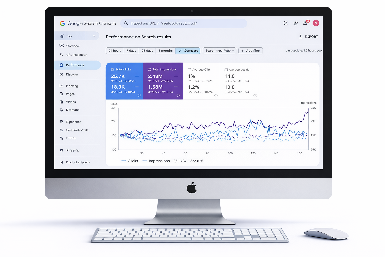 SEO Project 3